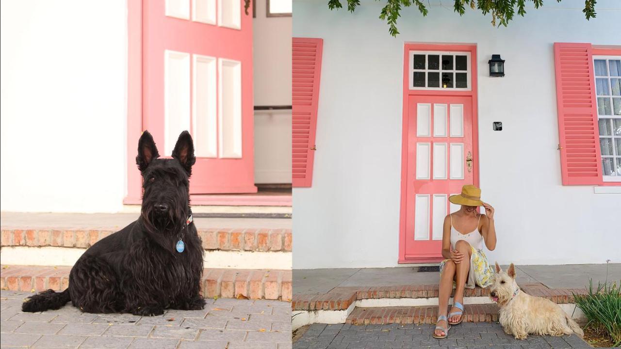 Drostdy Hotel Graaff-Reinet Eksteriør bilde Scottie dogs